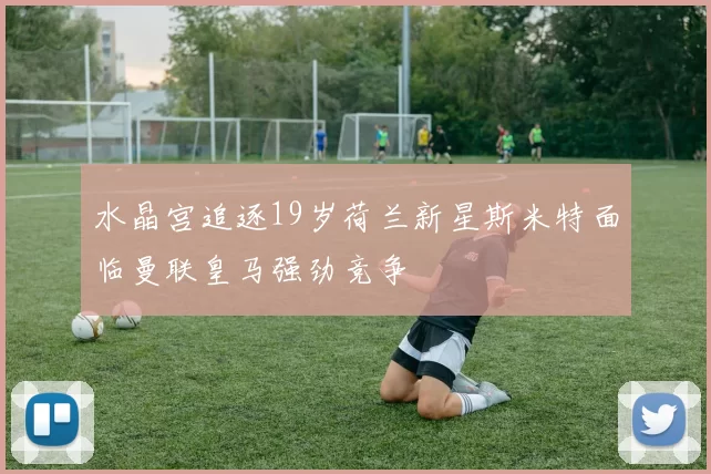 水晶宫追逐19岁荷兰新星斯米特面临曼联皇马强劲竞争